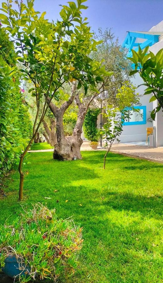 B&B Casrienn Маттината Экстерьер фото